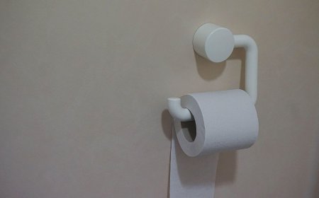Шымкентте үйірмелерді тексеріп жүрген шенеунік дәретханада токқа түсіп қалған