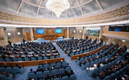 «Жер иесіз қалмауға тиіс»: Тоқаев ауылшаруашылық жерлеріне ЖИ-мен мониторинг жасау керегін айтты
