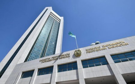 Президент бір палаталы Парламент құру мәселесін көтерді