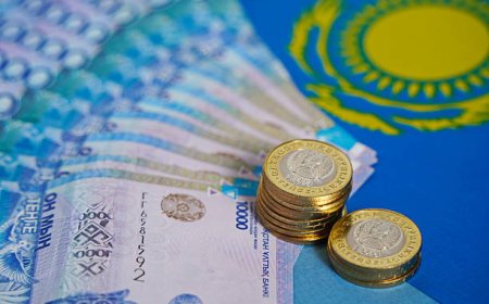 Елімізде қандай әлеуметтік төлемдерді алып тастайды – министр жауап берді