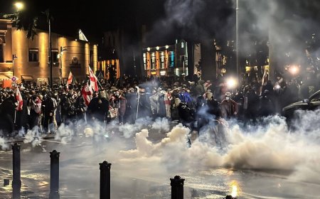 Грузиядағы наразылық: демонстранттар президент сарайына басып кіруге тырысты