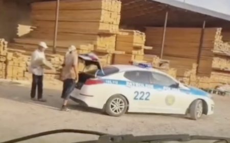Түркістанда полицей қызметтік көлікпен ағаш тасыған