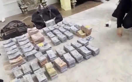 402 млн теңге, 52 көлік,  17 келі алтын: «Nazira Gold» қаржы пирамидасы иесінің дүние-мүлкі тәркіленді (ВИДЕО)