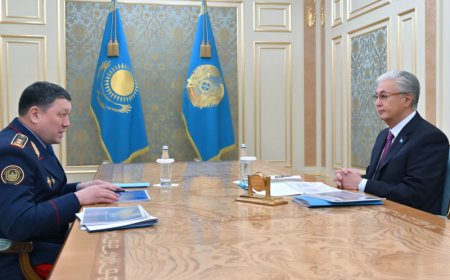 Тоқаев Ішкі істер министрін қабылдады