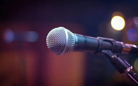 Тоқаев заңға қол қойды: Енді фонограммамен ән айтқандар 3 млн теңге айыппұл төлейді