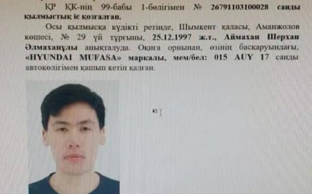 Шымкентте жас қызды өлтірді деген күдікке ілінген жігіт іздестіріліп жатыр