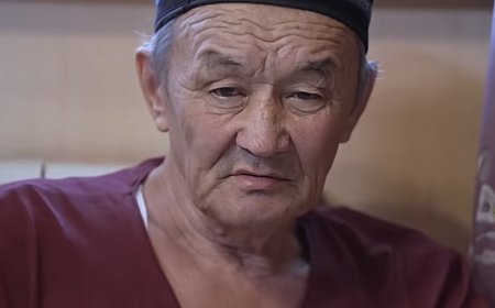 «Күйеу баламыз сол жақта қайтыс болған»: Сұлтанның әкесі қызының Сирияға барғанын айтты