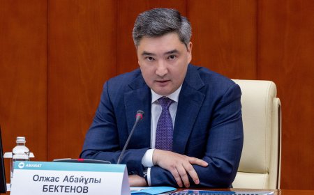 Жалған науқастар мен өлі жандарға қызмет:  Бектенов ФСМС-ті Минфинге беруді тапсырды