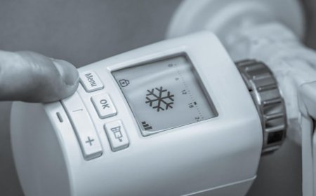 Бүгін 45 градусқа дейін сарышұнақ аяз болады