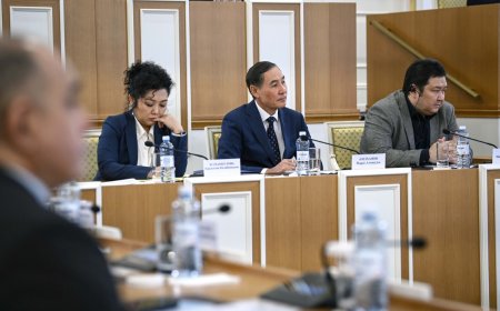 Карла Джаманкулова высказалась о Конституционной реформе