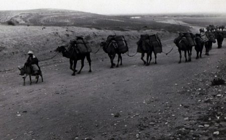 1939 жылғы Түркістанның сирек кадрлары желіде жарияланды