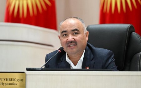 «Төрдөн түштүм, ордума отурдум»: Нұрланбек Тұрғынбекұлы Жогорку Кенеш спикері қызметінен кетті