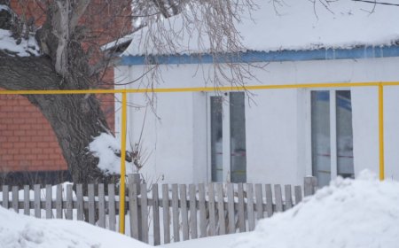 «Ата-анасы мен қарындасын өлтірген»: Астана маңында жантүршігерлік қылмыс тіркелді