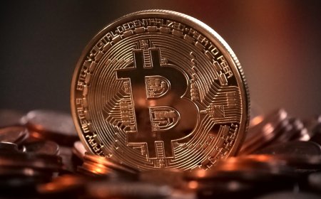 Шымкентте 2,5 млн доллардың бизнесін жалған биткоинмен «сатып алған» алаяқ ұсталды
