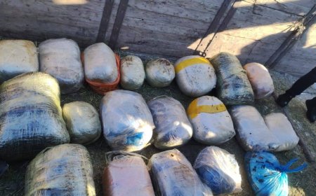 Қостанай облысында 200 келіден астам есірткі тәркіленді