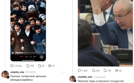 «Ауылдан келгендер»: Желтоқсаншыларды  қорлаған әйелдің үстінен қылмыстық іс қозғалды