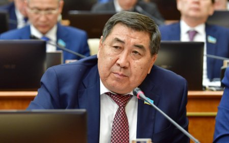 Ермұрат Бапи: «Менің де қызым шетелге тұрмысқа шықты»