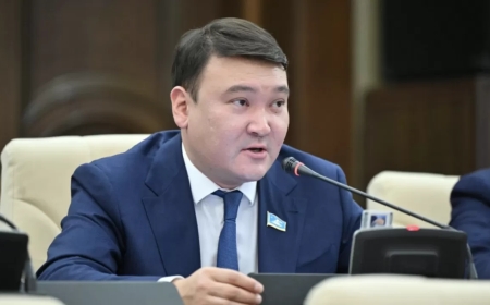«МузАрт тобына ескерткіш қою керек»: экс-депутат күтпеген ұсыныс айтты
